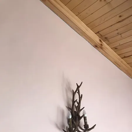 комплекс лебанов *